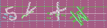 確認代碼