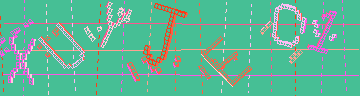 確認代碼