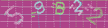 確認代碼