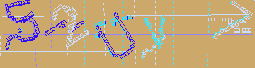 確認代碼