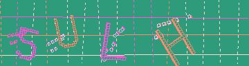 確認代碼