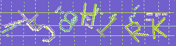 確認代碼