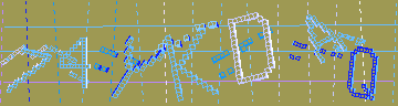 確認代碼