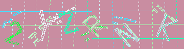 確認代碼
