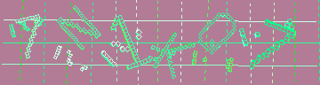 確認代碼