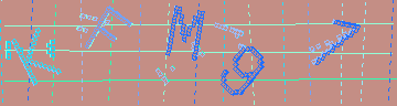 確認代碼