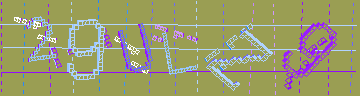 確認代碼