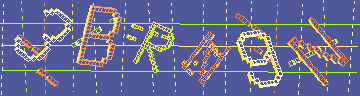 確認代碼