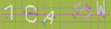 確認代碼