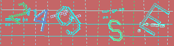 確認代碼