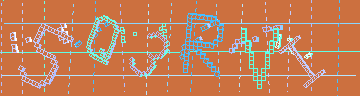 確認代碼