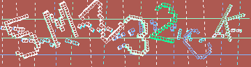 確認代碼