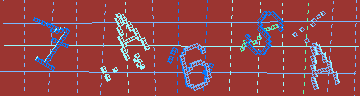 確認代碼