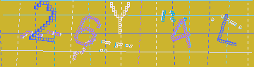 確認代碼