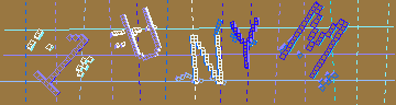 確認代碼