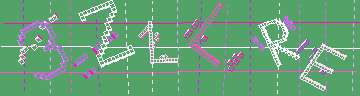 確認代碼