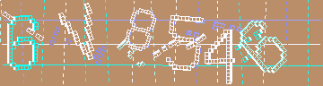 確認代碼