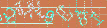 確認代碼