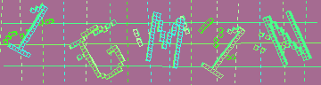 確認代碼