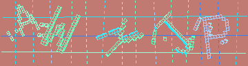 確認代碼