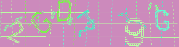 確認代碼