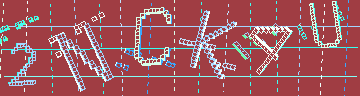 確認代碼