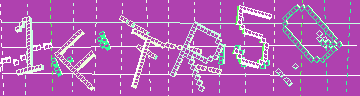 確認代碼