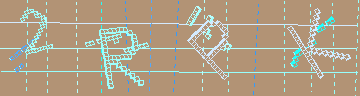 確認代碼