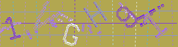 確認代碼