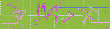 確認代碼
