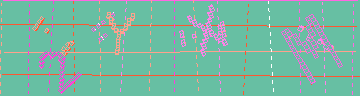 確認代碼