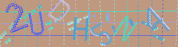 確認代碼