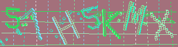 確認代碼