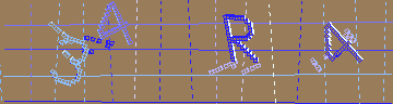 確認代碼