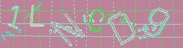 確認代碼