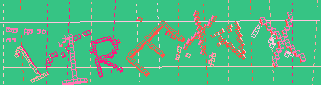 確認代碼