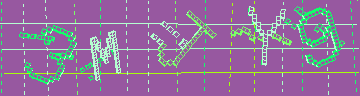 確認代碼
