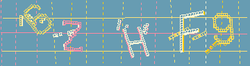 確認代碼