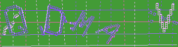 確認代碼