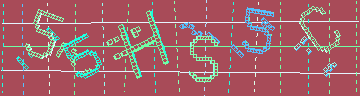 確認代碼