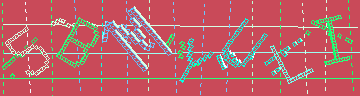 確認代碼