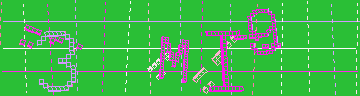 確認代碼