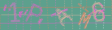 確認代碼