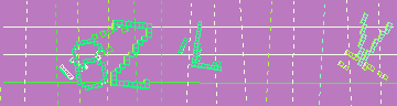 確認代碼