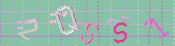 確認代碼