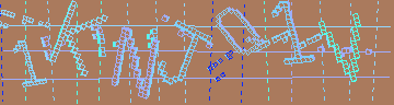 確認代碼