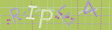 確認代碼