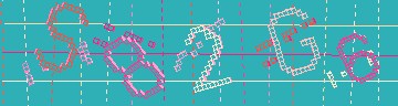確認代碼