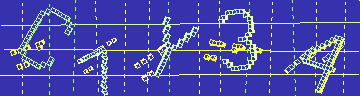 確認代碼