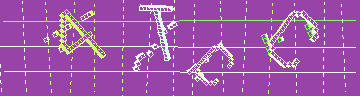 確認代碼